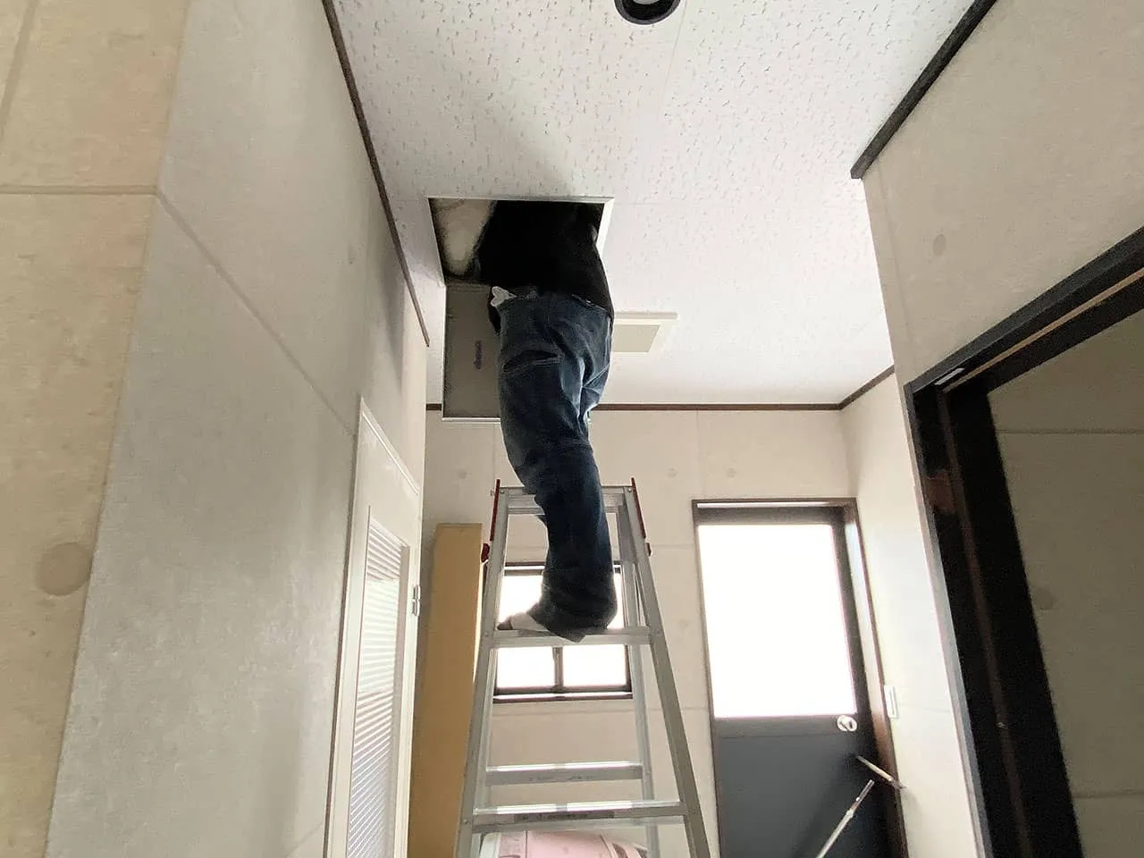 配線工事をするために点検口から屋根裏に上がってるところ