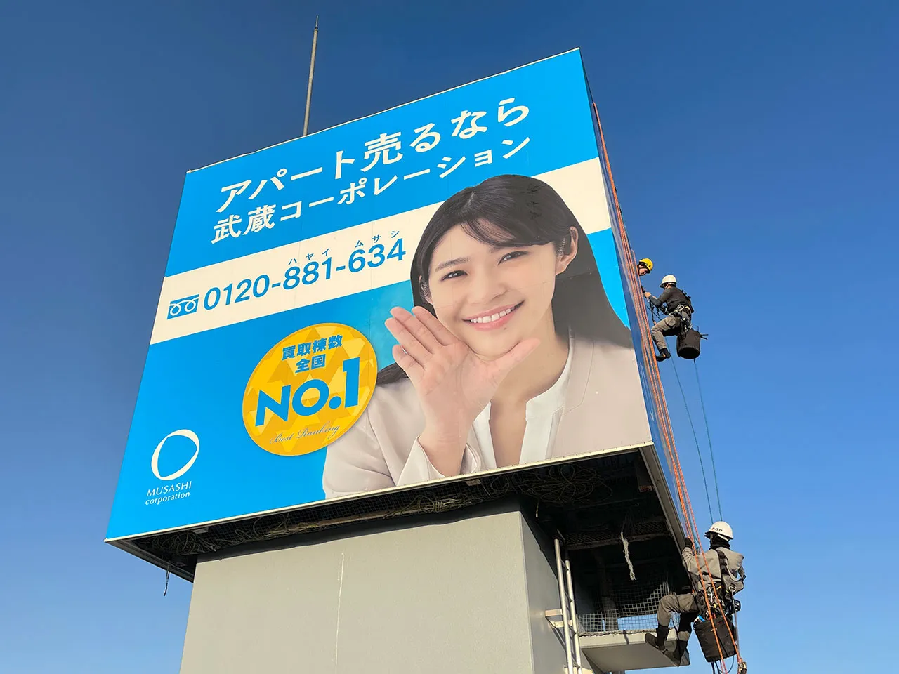 画像の説明