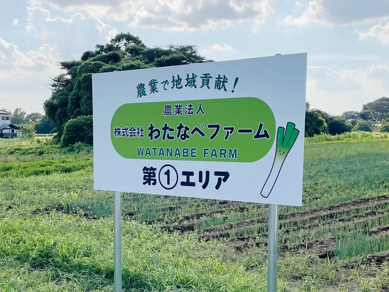 株式会社わたなべファーム様の野立看板