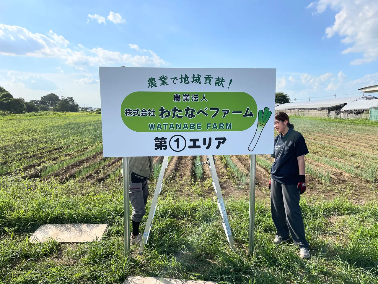 面板の裏側を施工しているところ