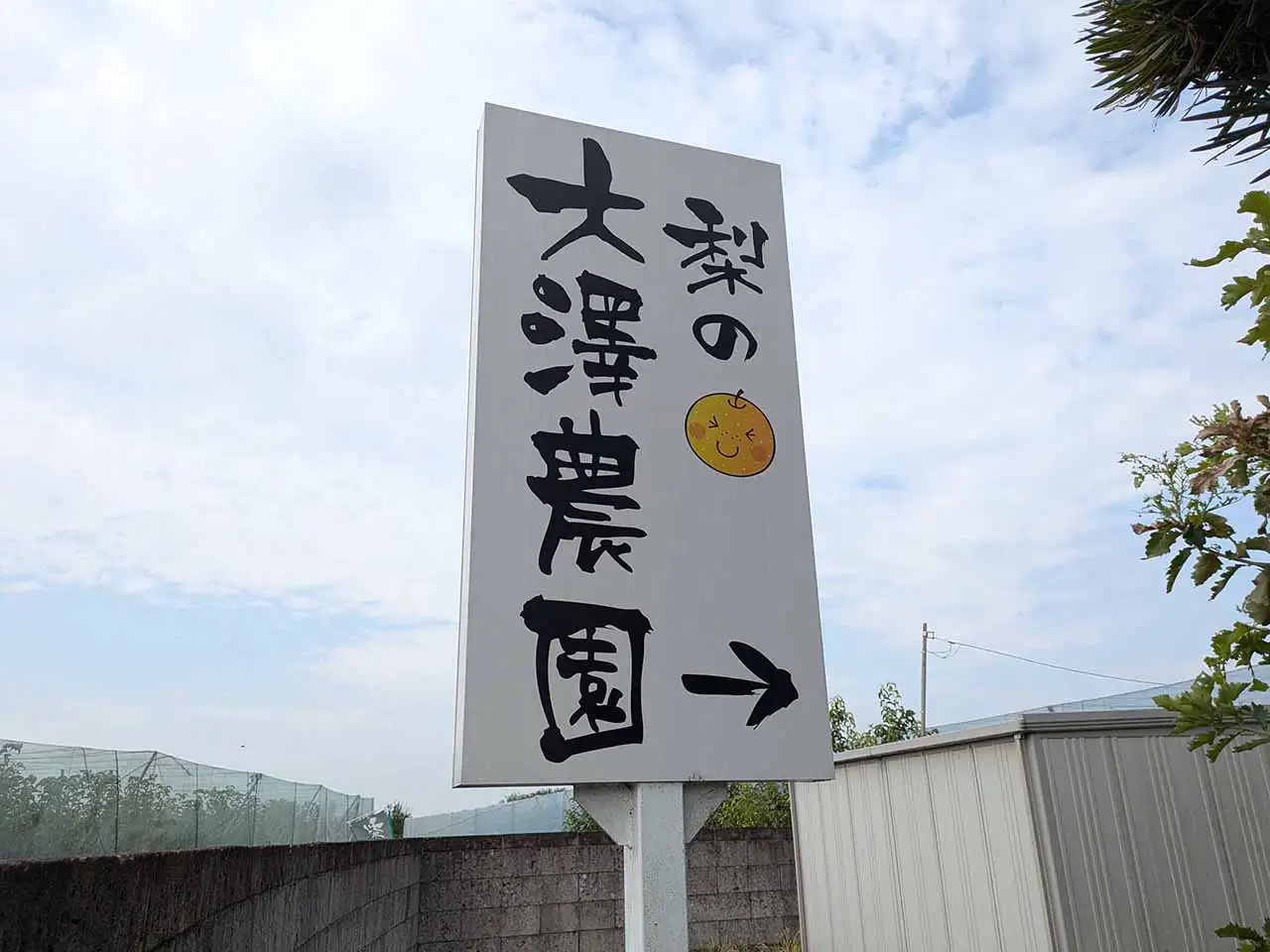 かわいい梨のイラストの看板