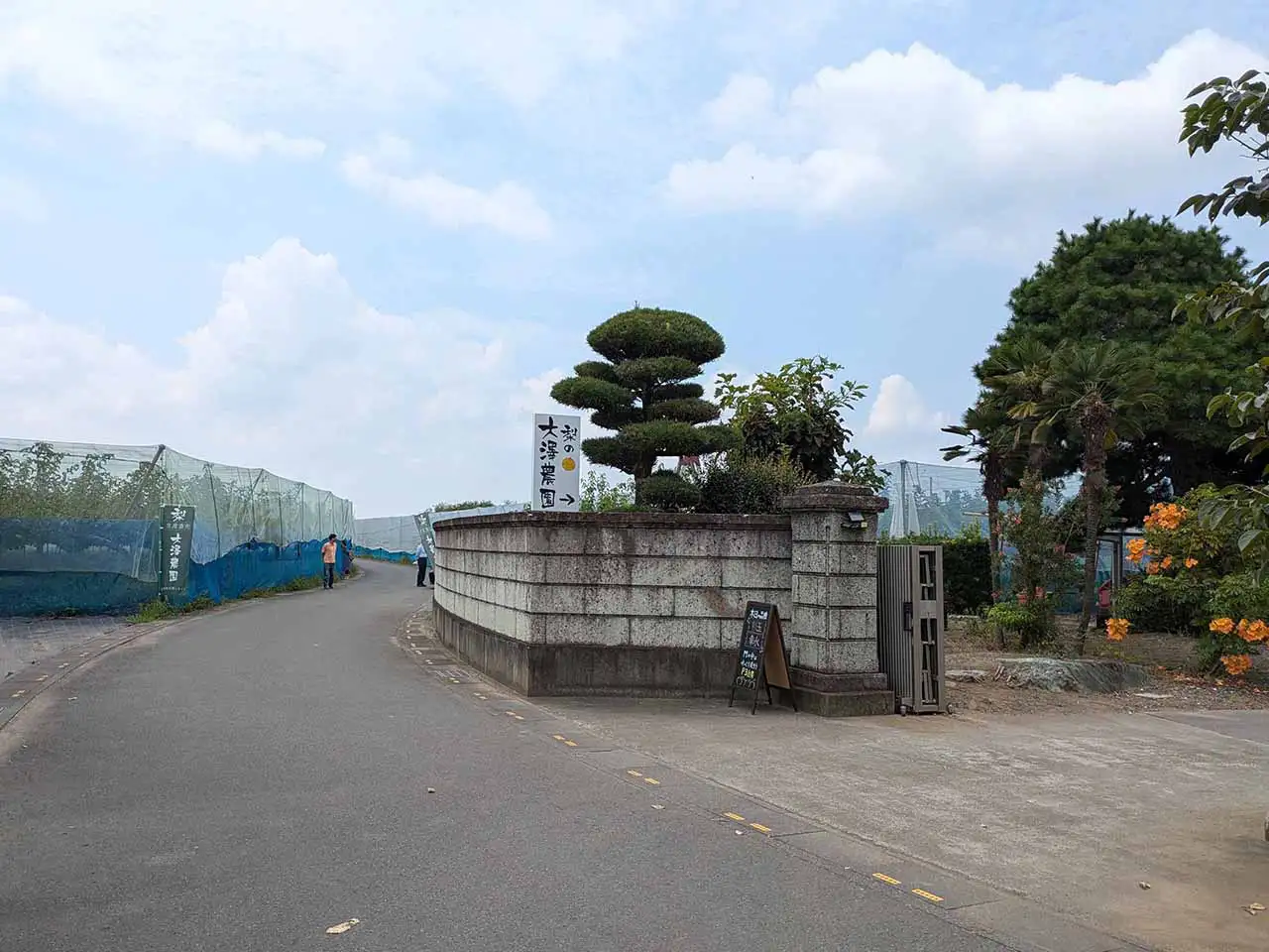 道路からの視認性もバッチリの看板